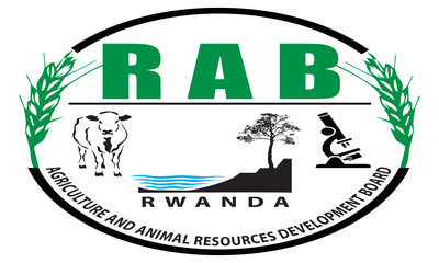 Rwanda Agriculture and Animal Resources Development Board (RAB)
